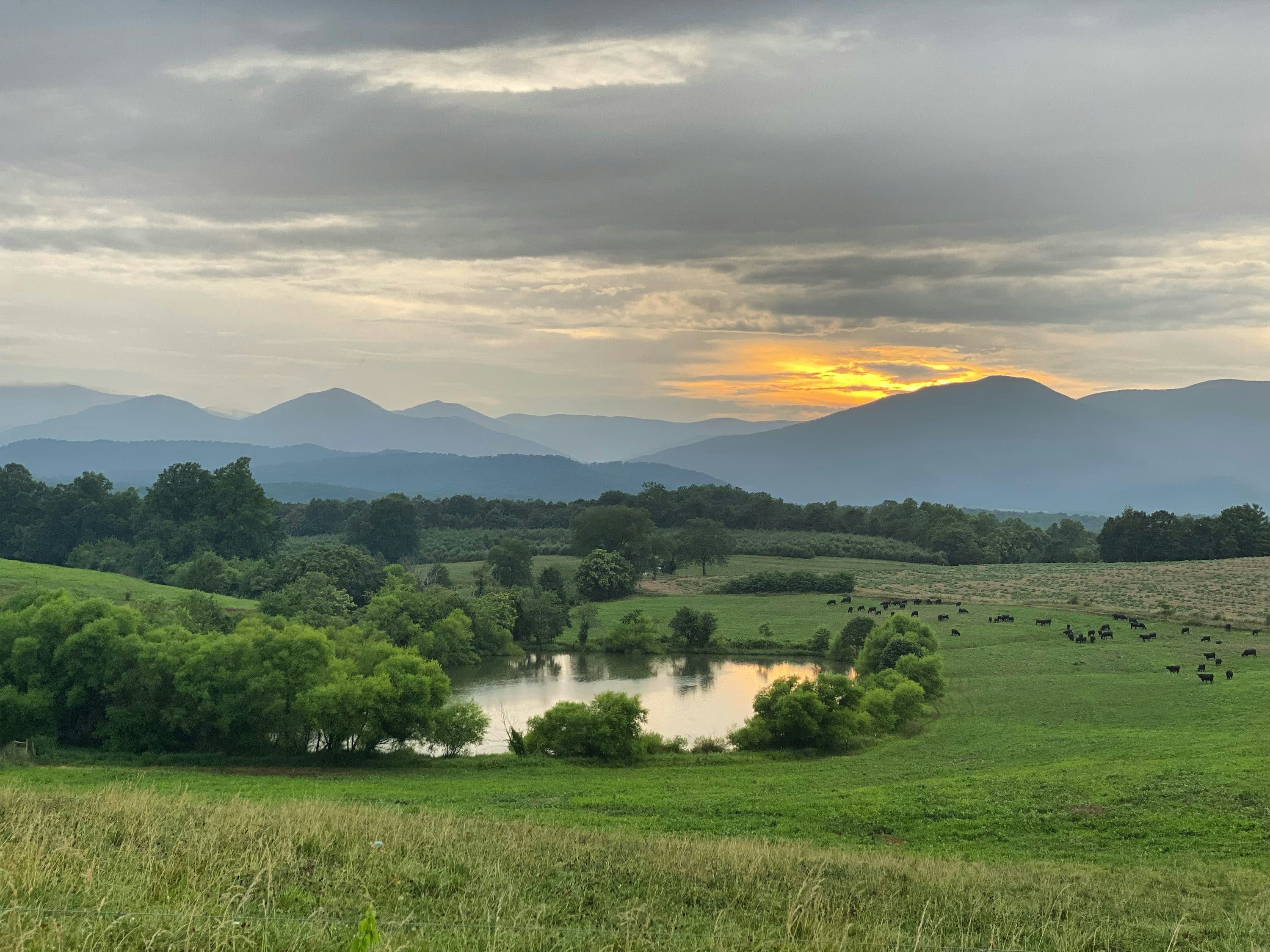 Descrierea imaginii 1